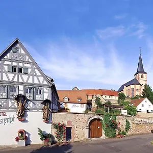 Meisnerhof 3* Erlabrunn (Wurzburg)